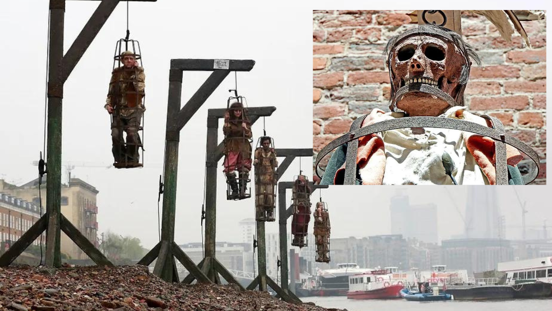 Gibbeting-history,cage,pictures,pirates & public execution existed